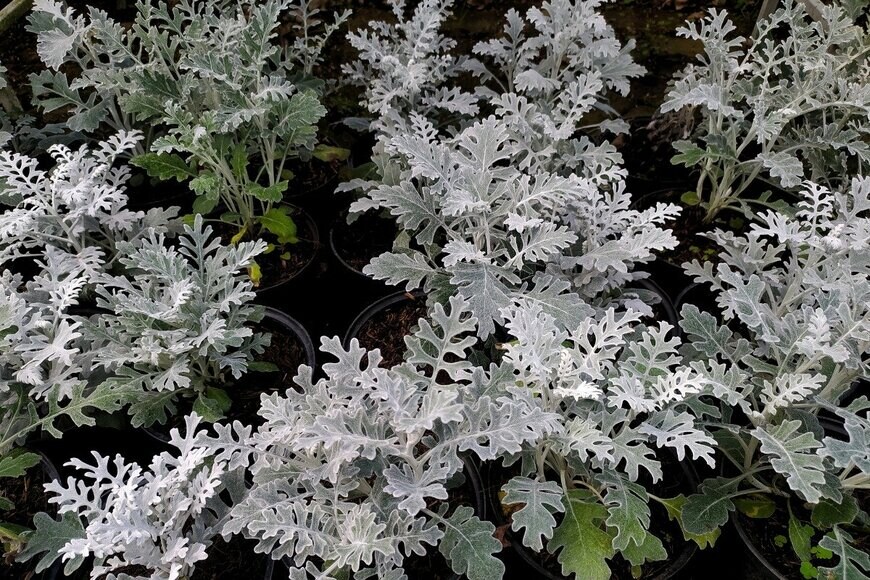 Hermawan/istockphoto.com