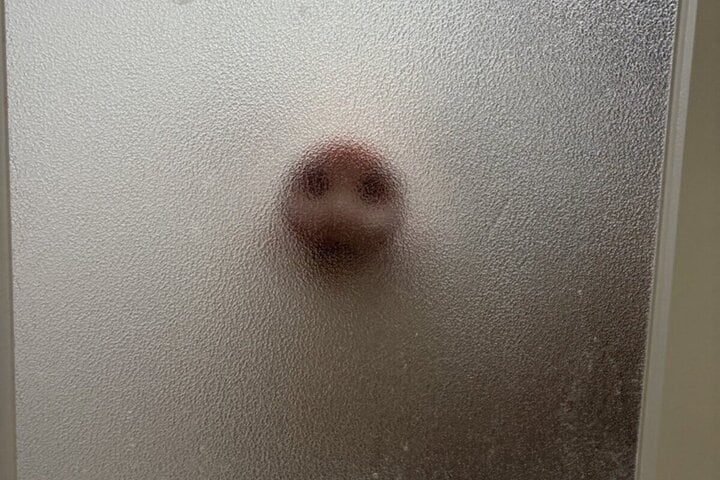 浴室のドア越しに見えた「まさかの生物」に思わず目を疑う　「猫かと思った」「心臓に悪い」