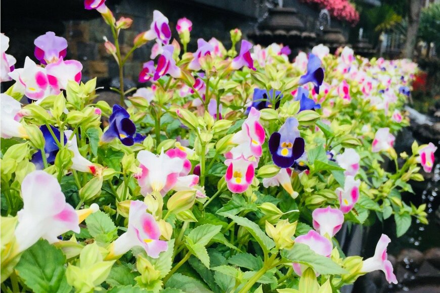 Cindy Dhillon/istockphoto.com