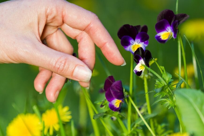 Nature's Charm/shutterstock.com
