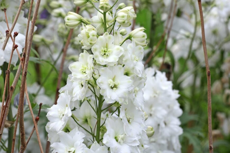 Alex Manders/istockphoto.com