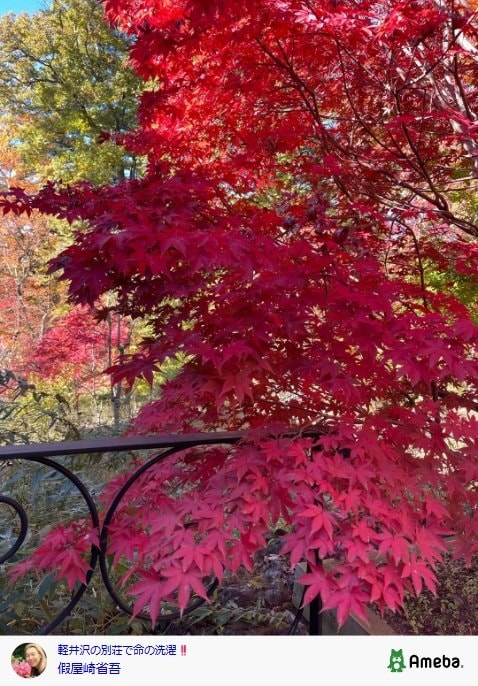 出所：假屋崎省吾の公式ブログ　参照日：2025年11月5日