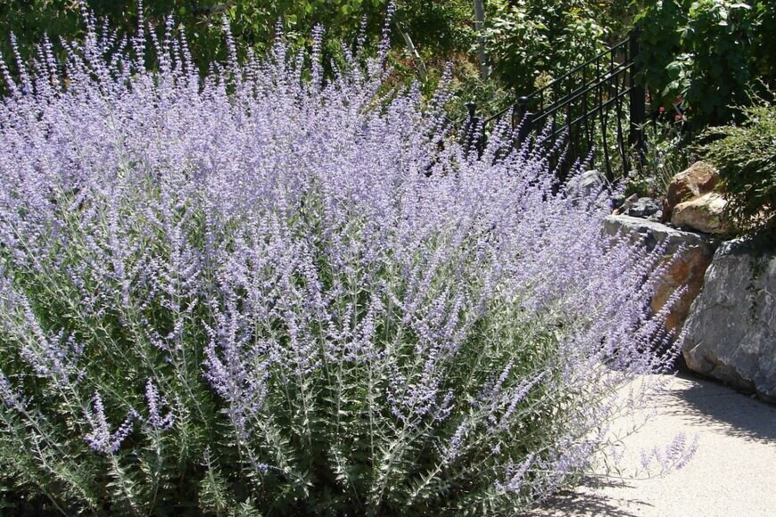 Kathryn Roach/shutterstock.com