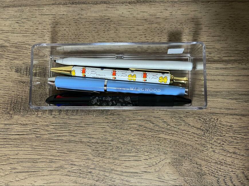 筆者撮影（ダイソー、システムケース M M/X 50周年 38911）