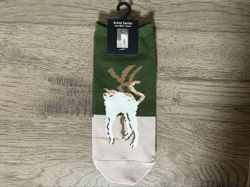 筆者撮影（セリア、レディースショート丈 白い猫）