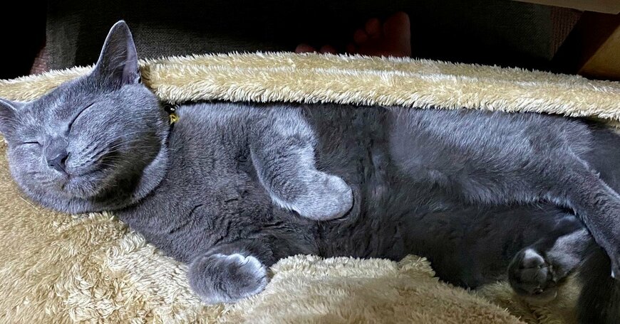 出所：@luna7taka9