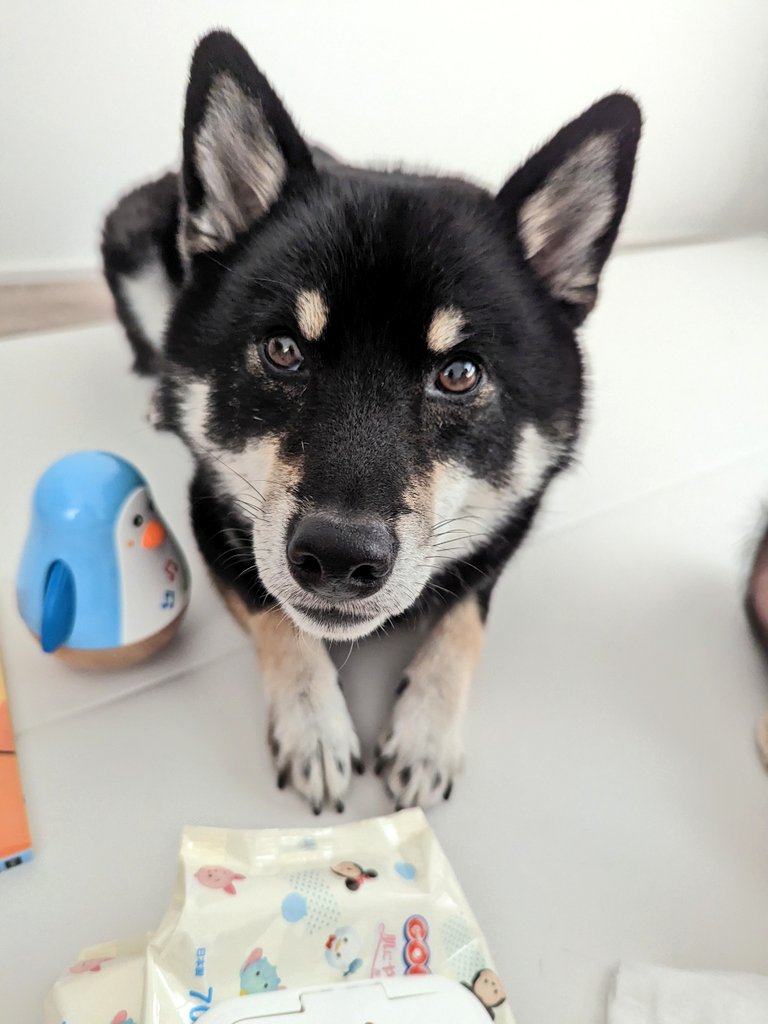 出所：@BLshiba_tensuke