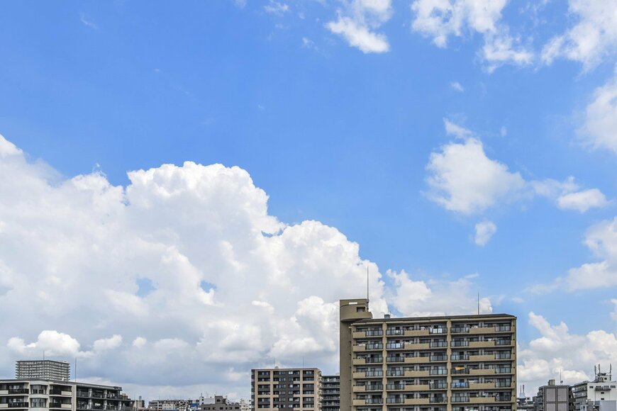 青空の下で干された「鳥に狙われそうなもの」が話題に　シュールな光景に思わず笑ってしまう