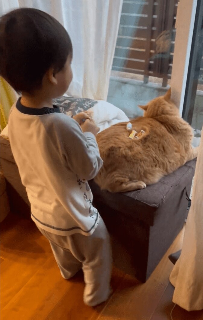 猫をお世話する息子さん