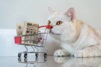 厚生年金「月10~11万円未満」もらえる人の割合を男女別に確認