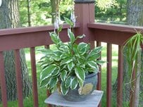 【シニア向け公的給付まとめ】手続きしない限り1円ももらえない「老齢年金にプラスされる給付2種＋雇用保険関連の給付3種」