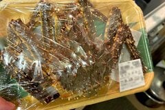 購入した「生タラバガニ」に強烈な違和感　甲羅の中から出てきた「まさかの物体」に思わず目を疑う