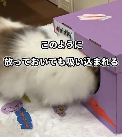 投稿の画像