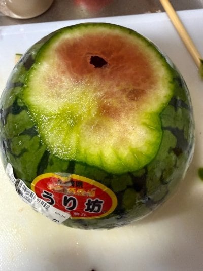 投稿の画像