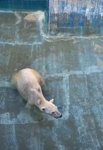 愛媛県立とべ動物園