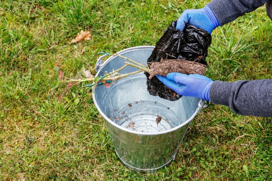 Agnes Kantaruk/shutterstock.com