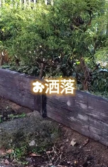 出所：＠big_chiyomarumama