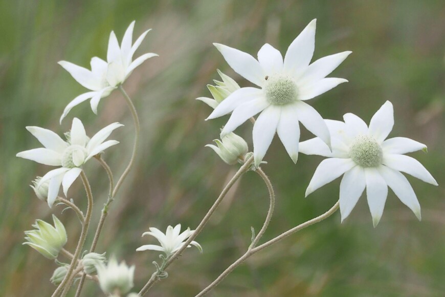 John Porter/istockphoto.com