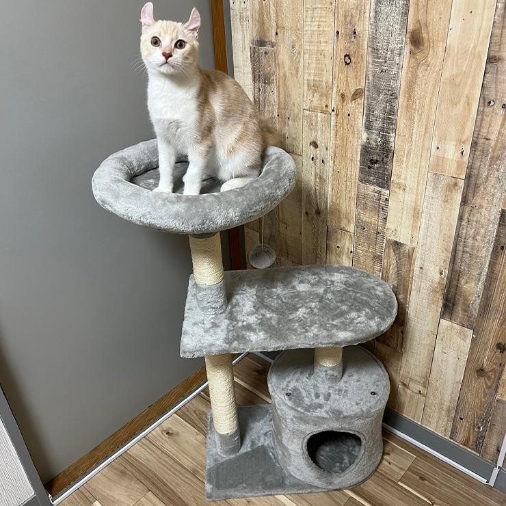 出所：しまむら公式オンラインストア キャットタワー