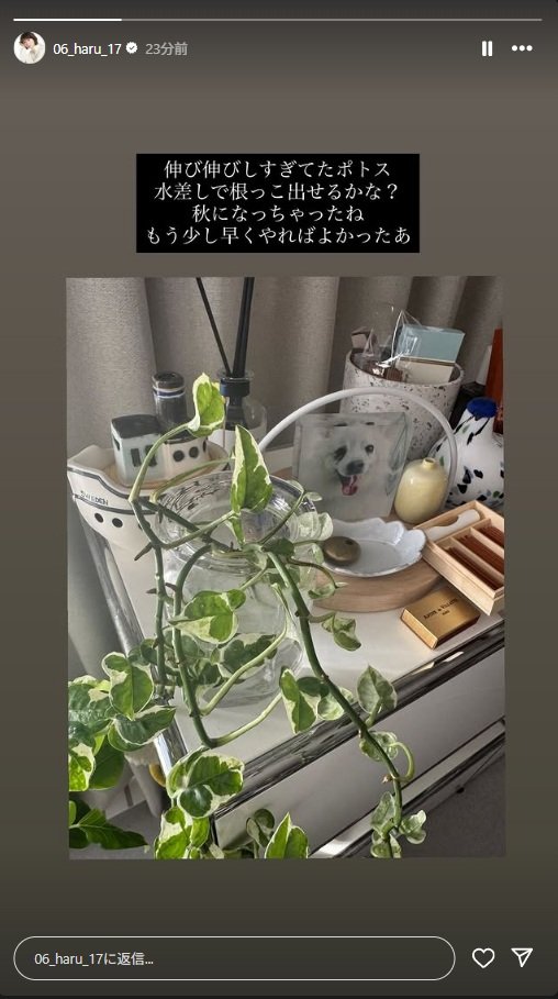 出所：波瑠のInstagram（＠y.tsubokura）参照日：2025年9月26日