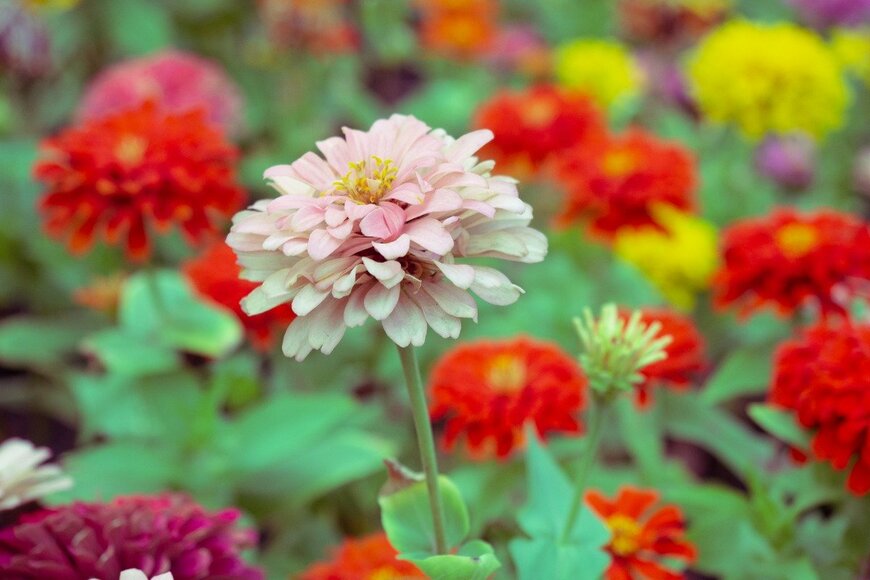 Anusak Rojpeetipongsakorn/istockphoto.com