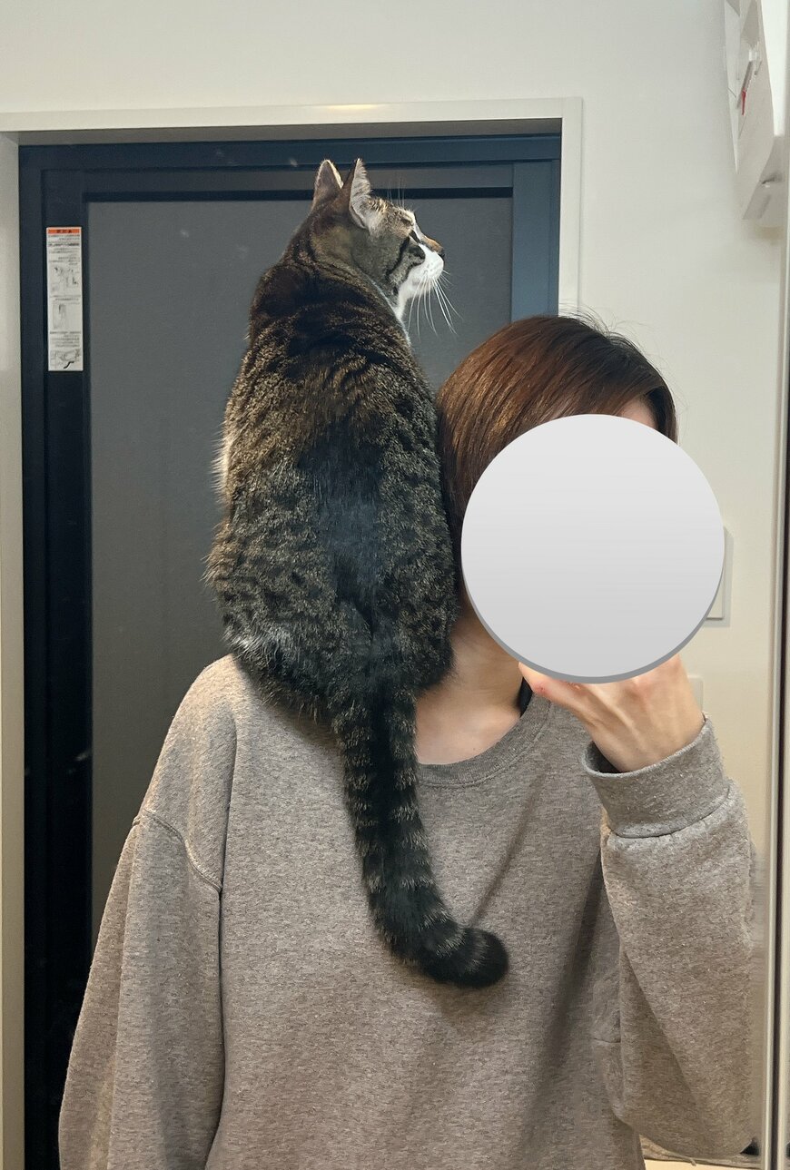 出所：@nekokawaii1214