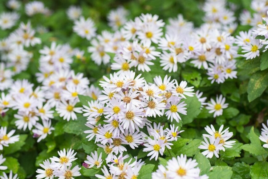 itasun/istockphoto.com