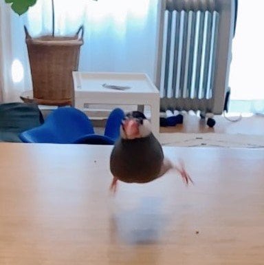 出所：@nebllse0121