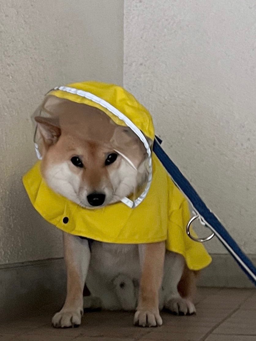 出所：@fufufufufu_ta