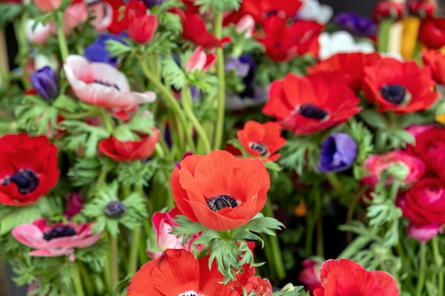 rawf8/shutterstock.com