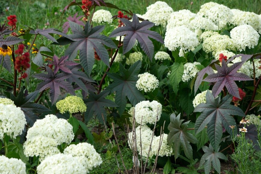 Vitaly Faritovich/itockphoto.com