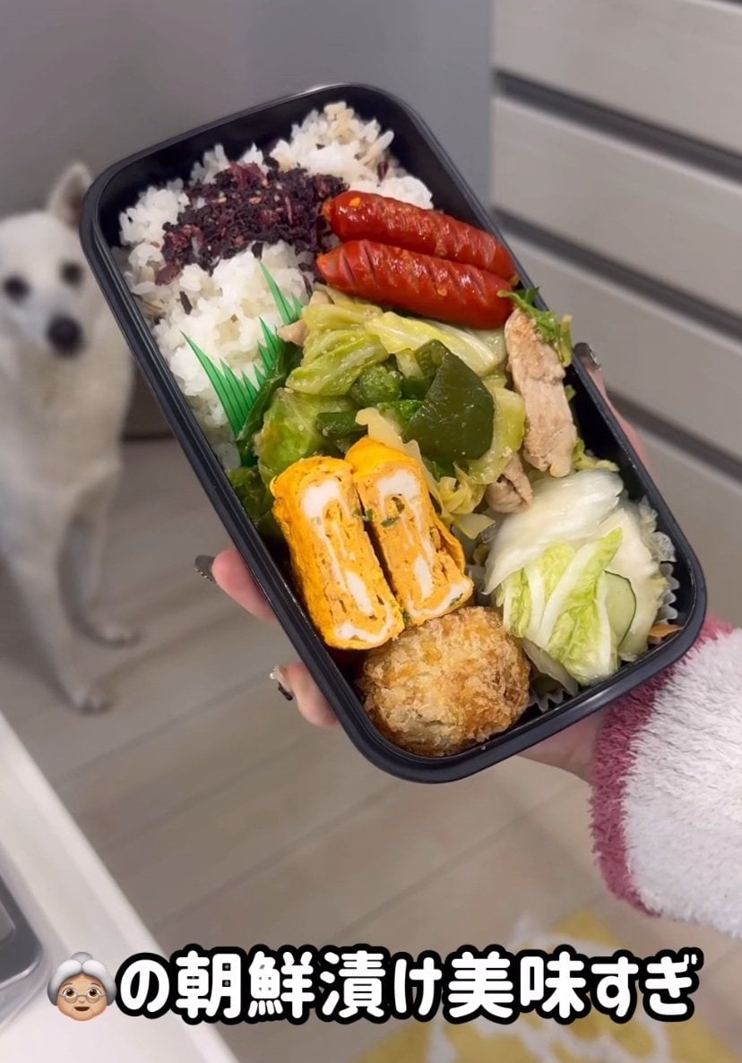 出所：@papapajama_i