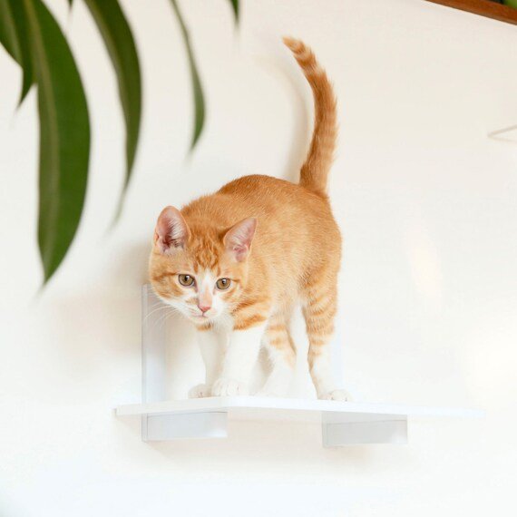 出所：ニトリ公式通販ニトリネット キャットステップ 3枚セット（幅35cm ホワイト CATROAD+）