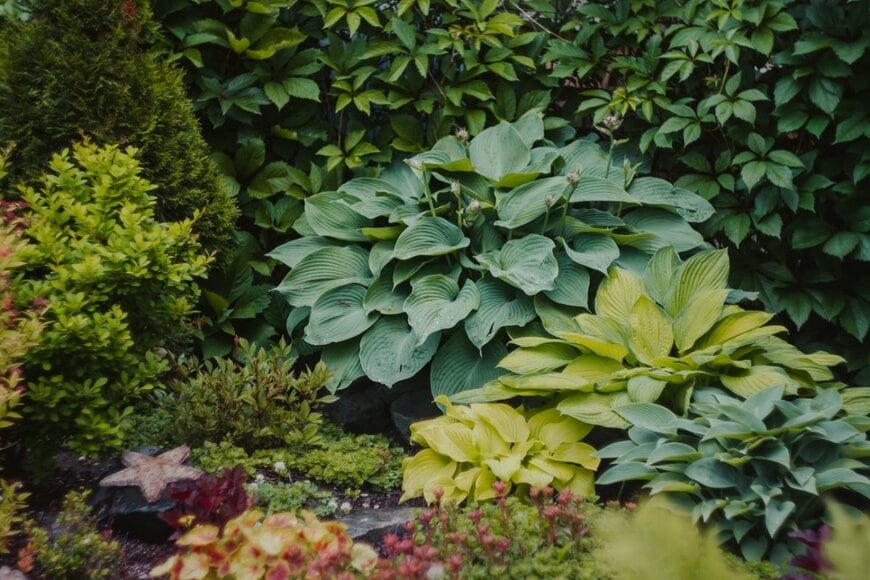 Marinka Buronka/shutterstock.com