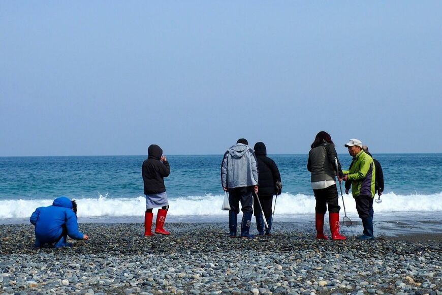 【富山県朝日町】浜辺に打ち上げられた「ヒスイ」を探すヒスイツアー　「いろんな石と出会えて楽しそう」と反響続々