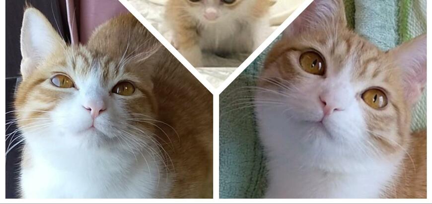 出所：@mero627puri914