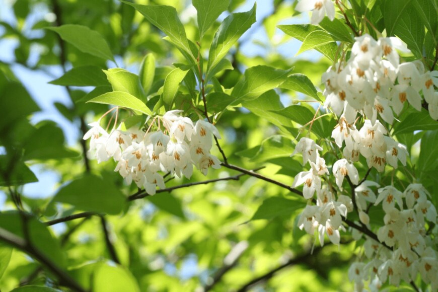 AKIsPalette/istockphoto.com