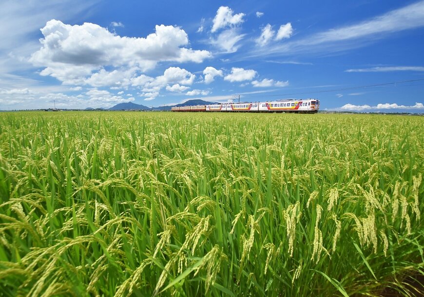 出所：@azu351_photo