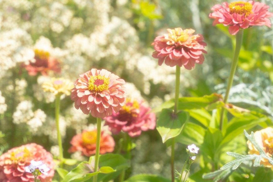 Nyon/istockphoto.com