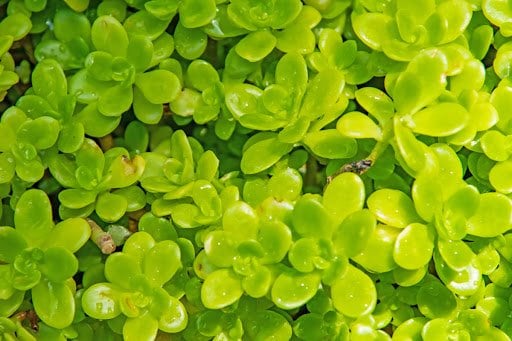 yilmazsavaskandag/shutterstock.com