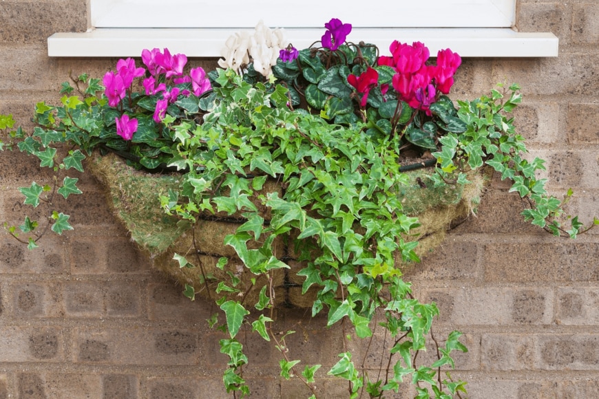 vau902/istockphoto.com