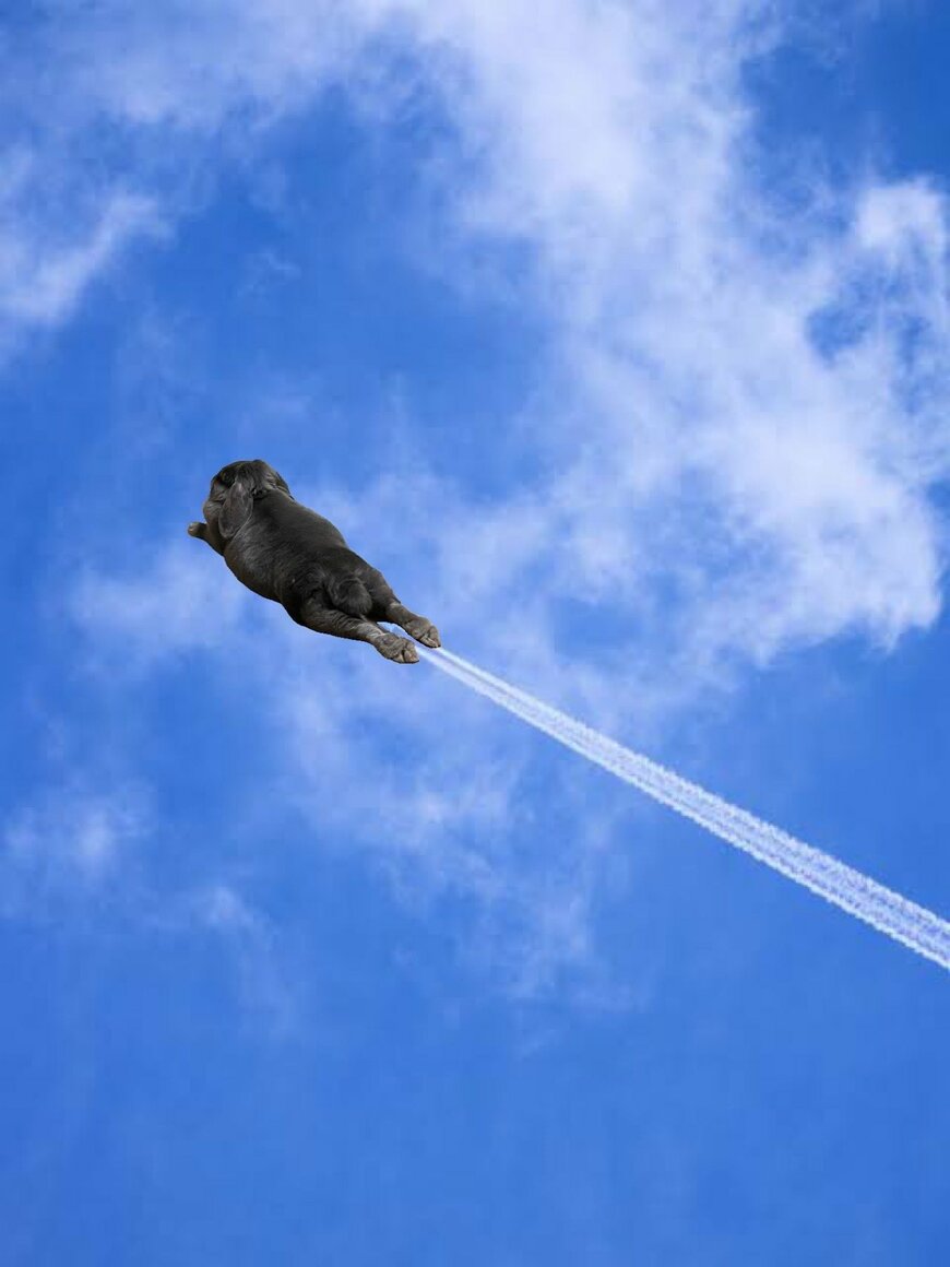 出所：@gomagoma826