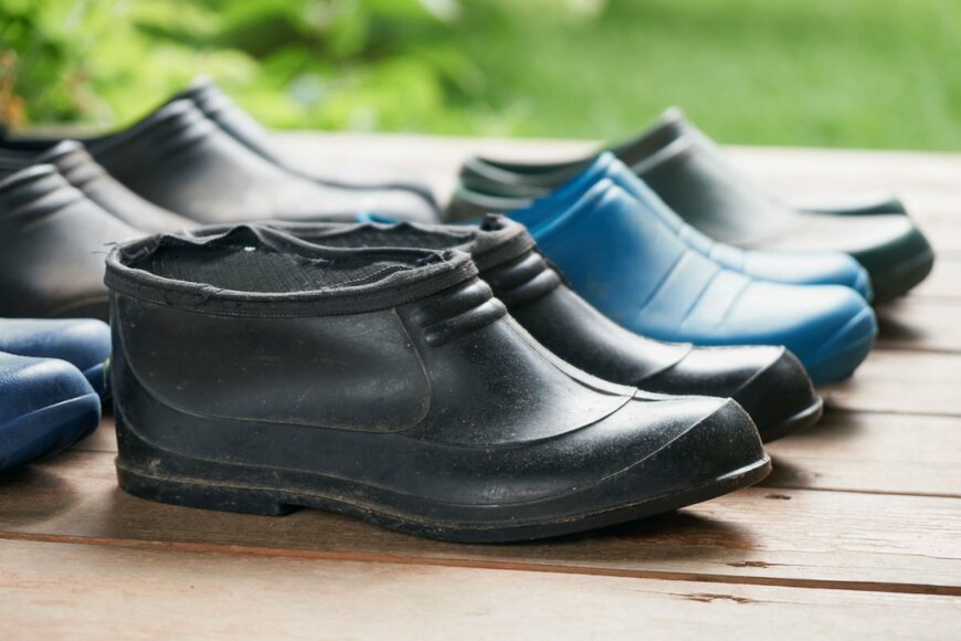 Georgy Dzyura/shutterstock.com