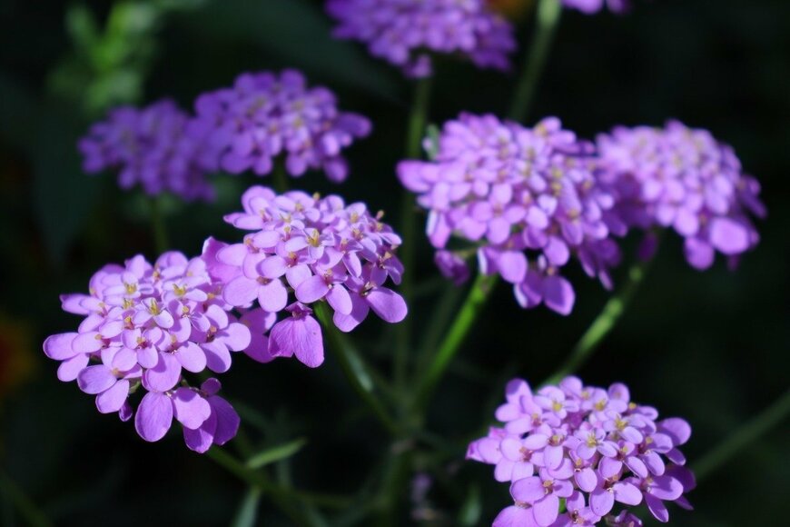 Alexander Gabriel/istockphoto.com