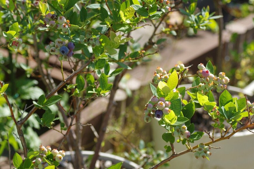 Takuya Aono/istockphoto.com