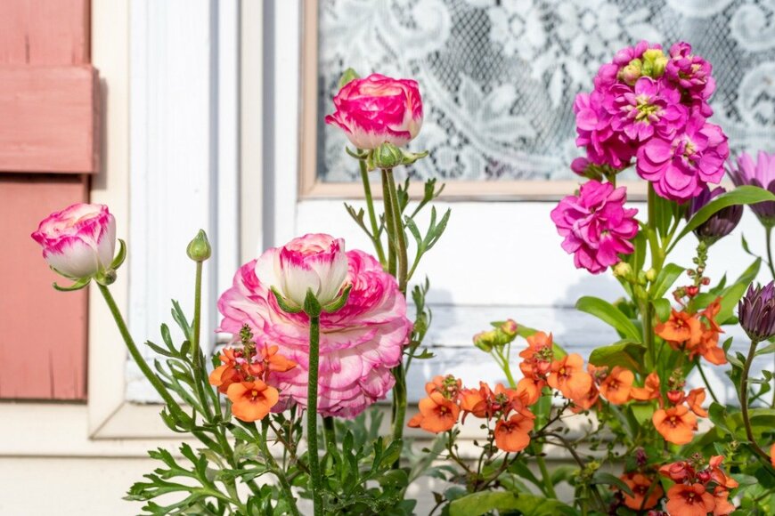 risten Prahl/istockphoto.com