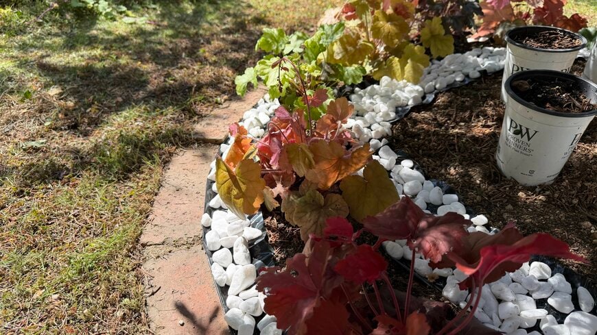 ホワイトストーンとヒューケラの花壇