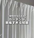 「植物好きのあるある問題」建売住宅の〈開閉しにくいカーテン〉→すっきり日当たり良好な〈ロールスクリーン〉で解決！