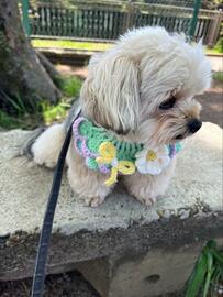 ご褒美を見せると笑顔になる犬　わかりやすい表情に思わずホッコリ