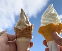 新潟県の道の駅で出会う「ガンジーソフト」とは？「濃厚なのにさっぱり」「2個3個イケちゃう」と絶賛の声